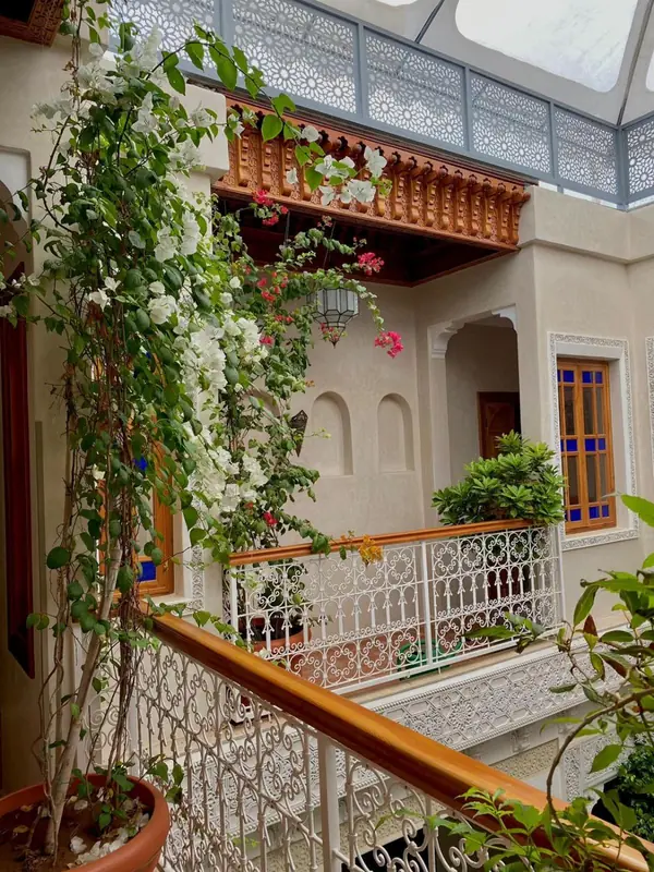 Un balcon et ses plantes, vus du patio