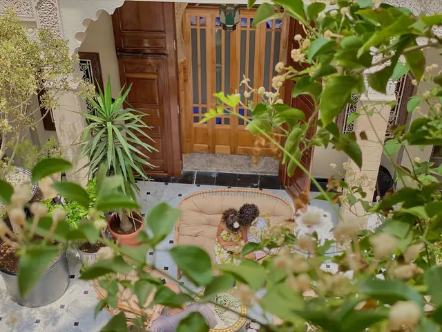 Une porte du patio entre les plantes